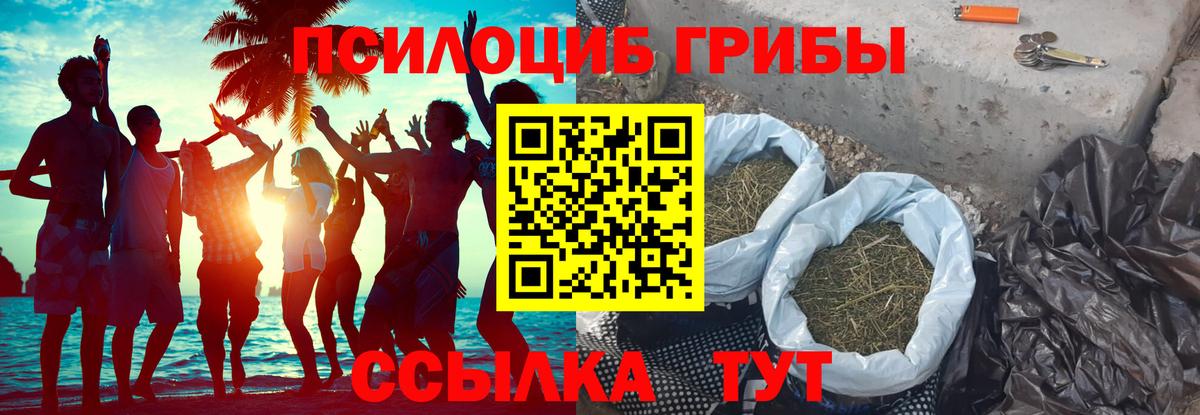 магазин продажи   Вход с VPN  Луховицы  Галлюциногенные грибы Psilocybe 